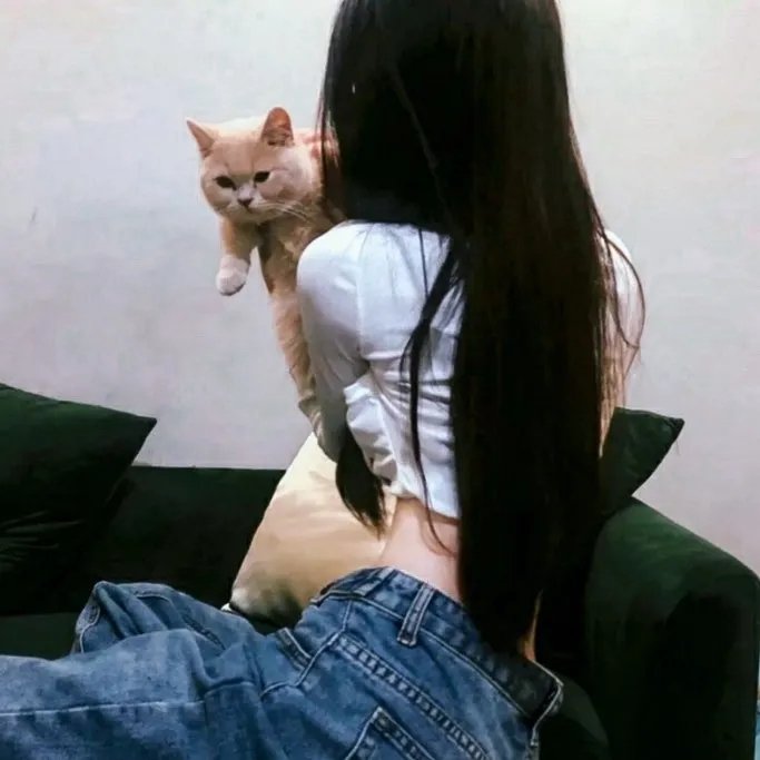 梦物语
